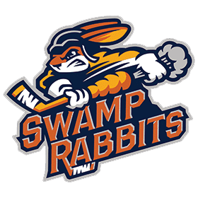 Team Chiropractor for the ECHL Swamp Rabbits